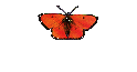 Natives